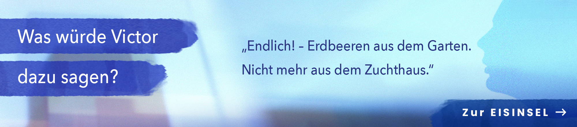 Eisinsel