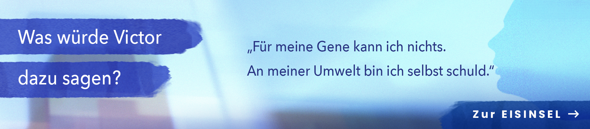 Eisinsel